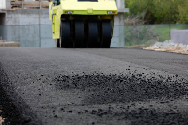 Best Professional Driveway Pavers  in Biscayne Park, FL